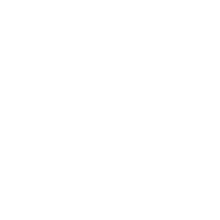 White X Logo