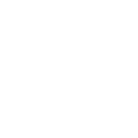White LinkedIn logo
